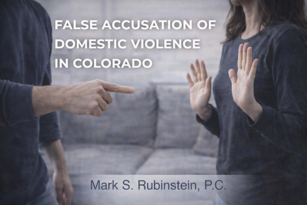 false domestic violence accusations